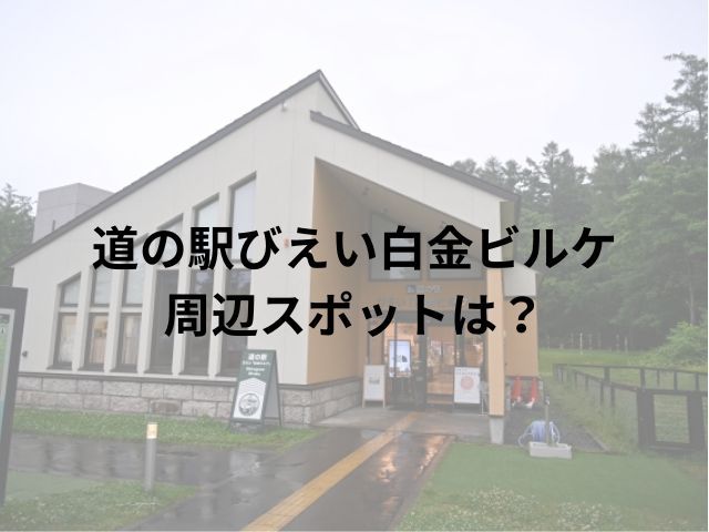 道の駅びえい白金ビルケ車中泊ブログ！周辺スポットもご紹介!